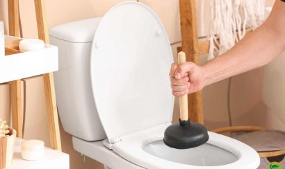 Cây thông bồn cầu giá bao nhiêu là đủ?