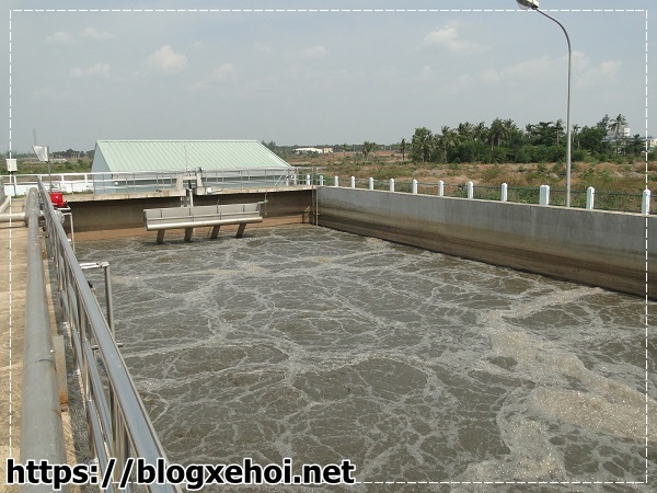 Phương ph&aacute;p xử l&yacute; nước thải nu&ocirc;i t&ocirc;m