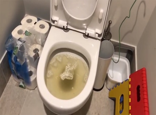 Xử l&yacute; bồn cầu bị nghẹt.