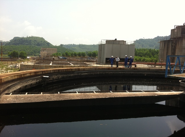 Hướng dẫn nu&ocirc;i cấy b&ugrave;n vi sinh đạt chuẩn đầu ra