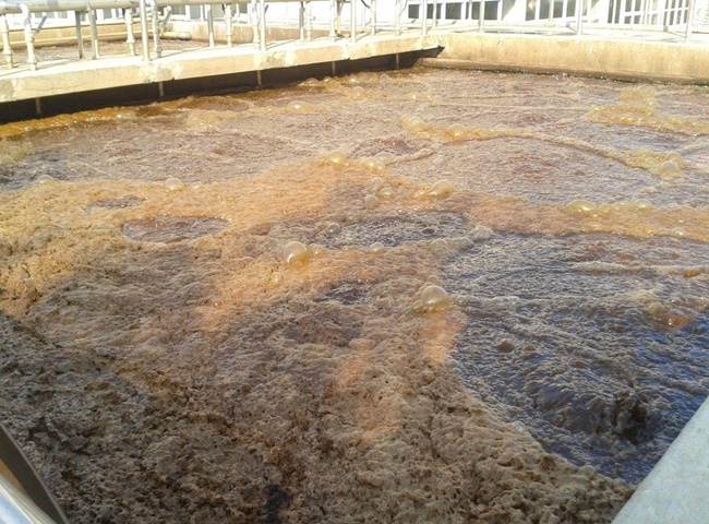 Kiểm tra hệ thống nu&ocirc;i b&ugrave;n vi sinh