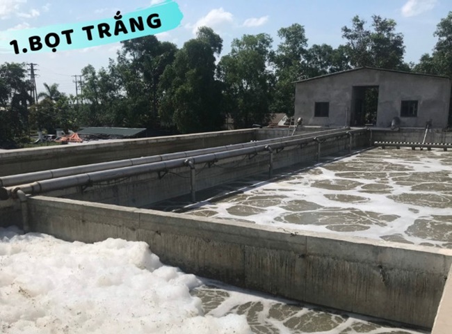 B&ugrave;n nổi bọt trắng - Sự cố ban đầu qu&aacute; tr&igrave;nh nu&ocirc;i cấy