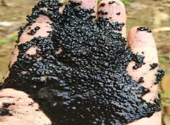 B&ugrave;n vi sinh l&agrave; g&igrave;