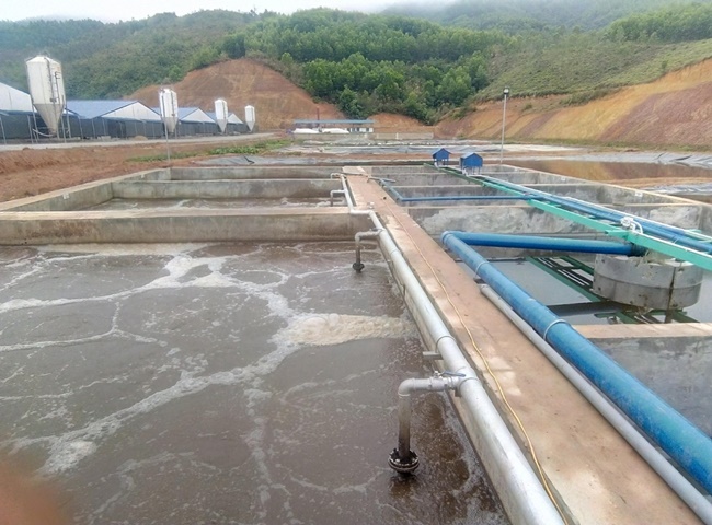 C&aacute;c loại b&ugrave;n vi sinh v&agrave; c&aacute;ch ph&acirc;n loại