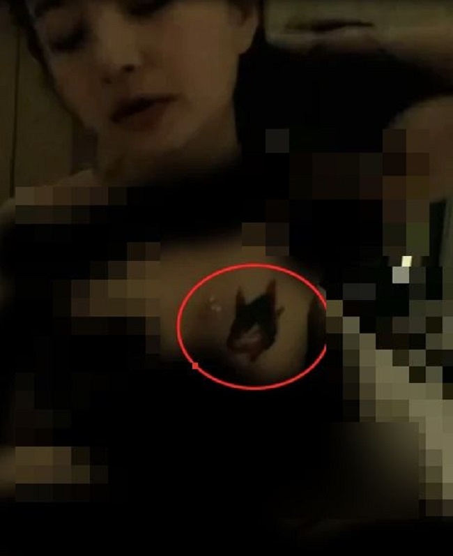 clip Mèo 2k4 3