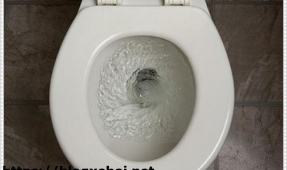 Thông bồn cầu bằng cách sử dụng bột thông bồn cầu