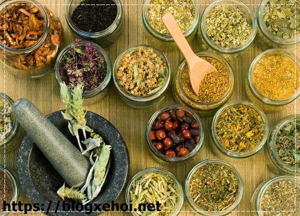B&agrave;i thuốc bổ ph&ugrave; hợp chế độ dinh dưỡng thể h&igrave;nh