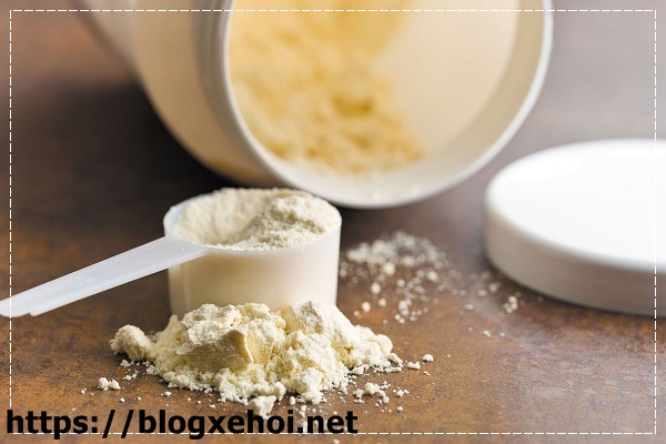 Bột sữa tăng cơ whey protein