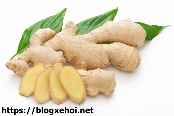 Gừng l&agrave; một phần trong b&agrave;i thuốc bổ sung cho dinh dưỡng thể h&igrave;nh