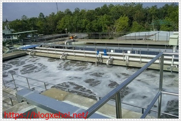 &Ocirc; nhiễm do nước thải ảnh hưởng xấu đến m&ocirc;i trường