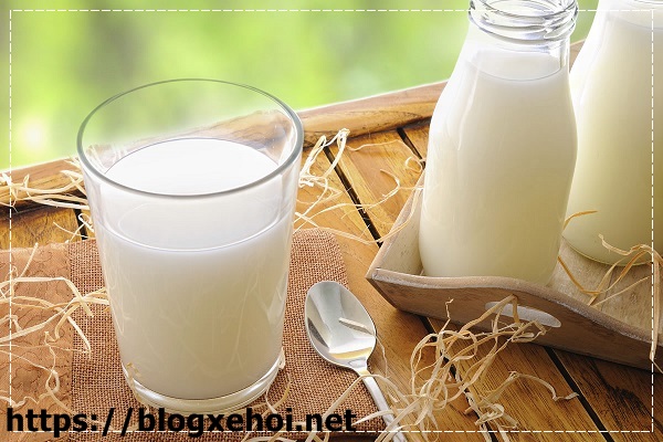 C&aacute;ch uống sữa tươi nguy&ecirc;n kem