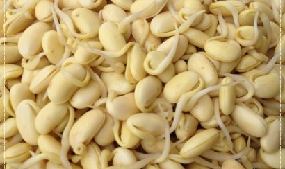 Giá trị dinh dưỡng thể hình tăng cân từ mầm đậu nành và thịt mỡ