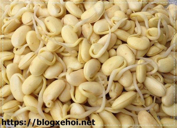 Đại đậu hoàng rất có lợi cho sức khỏe và dinh dưỡng thể hình