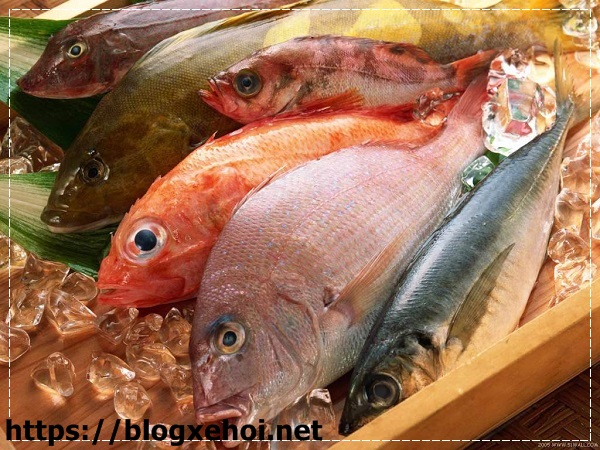 Thịt c&aacute; chứa nhiều dinh dưỡng thiết yếu