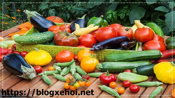 Nguồn dinh dưỡng thể h&igrave;nh từ hoa quả gi&agrave;u calo